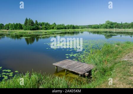In legno ponte di piccole dimensioni con assi allo stagno, alberi all'orizzonte e cielo blu chiaro Foto Stock