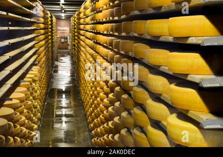 Gruyeres, Svizzera - 27 Luglio 2019: formaggio stagionatura in cantina stoccaggio del famoso formaggio svizzero factory La Maison du Gruyère. Invecchiamento del formaggio. Il fuoco selettivo in parte sfocata. Foto Stock