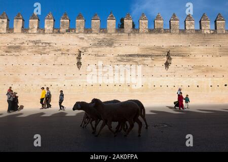 Pedoni e il gregge di pecore nel paesaggio di merlato terra sbattuta le mura della città nella zona di Bab Mechouar e Bab Dekkakin in Fes (fez), Marocco Foto Stock