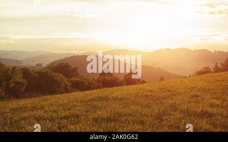 Paesaggio collinare al sole, prato in primo piano Foto Stock