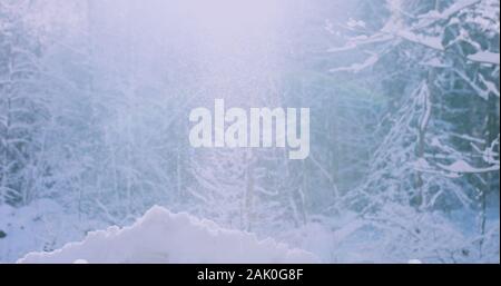 Inverno il sole che splende attraverso nevicata con alberi in una fredda mattina. 4k a risoluzione Foto Stock
