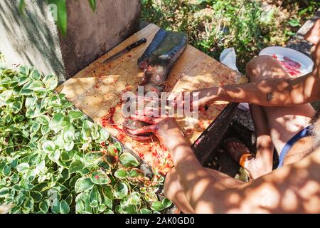 Irriconoscibile Fisherman con lama di pulizia di pesci di acqua dolce sulla tavola di legno all'esterno. La preparazione di cibi crudi. Foto Stock