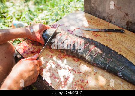 Irriconoscibile Fisherman con lama di pulizia di pesci di acqua dolce sulla tavola di legno all'esterno. La preparazione di cibi crudi. Foto Stock