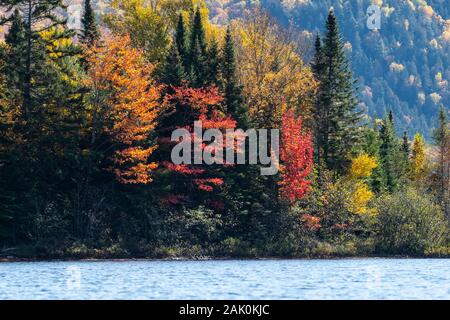 Colori d'autunno foresta in riva al lago Foto Stock