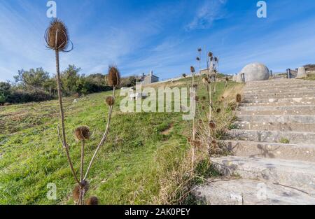 Thistle seme head vicino al grande globo a Durlston Country Park, Swanage, Dorset, Regno Unito Foto Stock