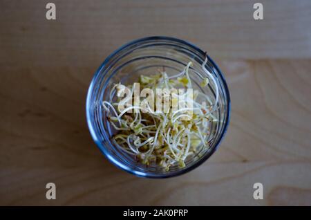 I germogli di grano saraceno in un bicchiere su un tavolo di legno Foto Stock