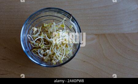 I germogli di grano saraceno in un bicchiere su un tavolo di legno Foto Stock