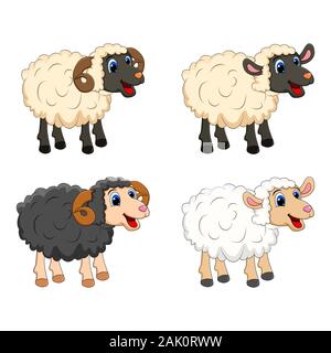 Animale da azienda gruppo. pecore bianche, agnello, nero design ram isolati su sfondo bianco. Cartoon carino animali collezione Illustrazione Vettoriale Illustrazione Vettoriale
