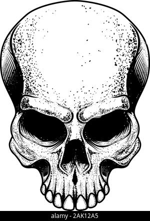 Illustrazione del cranio isolato su sfondo bianco. Elemento di design per il logo, marchio, segno. Illustrazione Vettoriale Illustrazione Vettoriale