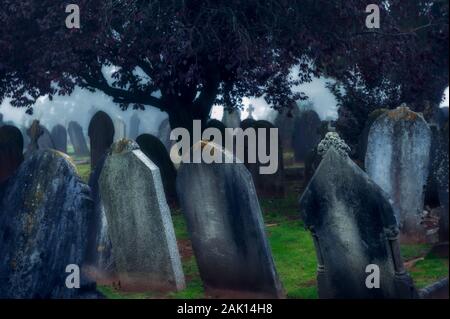 Nebbia misteriosa incandescente al chiaro di luna su tenebrose camuffati vecchie lapidi in un cimitero scuro Foto Stock