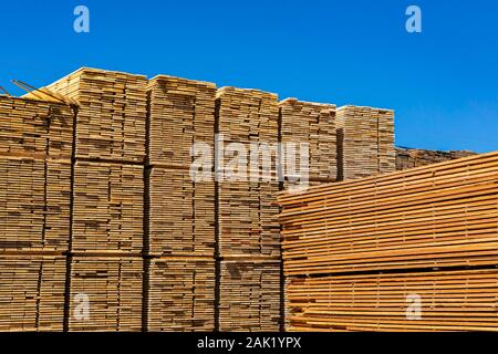 Pile di grandi dimensioni dei segati e trasformati di pannelli di legno sono visti in una segheria cantiere. Industria pesante nel Kootenays della British Columbia, Canada. Con spazio di copia Foto Stock