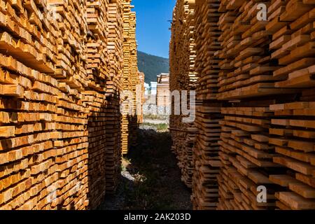 Pile di sottili fabbricati listoni in legno creano uno stretto vicolo nel cortile di una segheria. Infinite pile di materiali naturali sotto un cielo blu Foto Stock