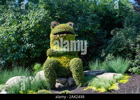 A forma di rana bushed in verde giardini paesaggistici Foto Stock