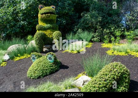 A forma di rana bushed in verde giardini paesaggistici Foto Stock