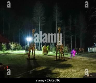 Di West Orange, nel New Jersey 28 Dicembre 2019:Prendere un inverno passeggiate attraverso la contea di Essex Turtle Back Zoo questa stagione di festa sotto le luci scintillanti Foto Stock