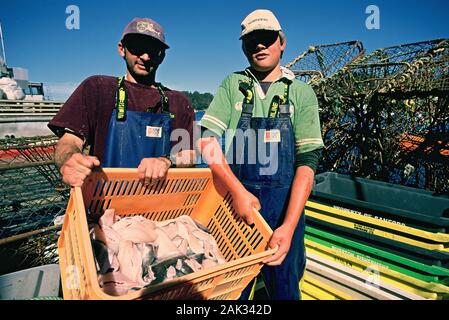 Due giovani pescatori shwoing un cestello con il pesce appena pescato su Stewart Island, una piccola isola vicino all'Isola del Sud della Nuova Zelanda. (Senza data immagine Foto Stock