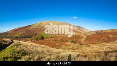 La valle di Barbondale vicino Barbon con vitello Top hill in background, nello Yorkshire, Inghilterra Foto Stock