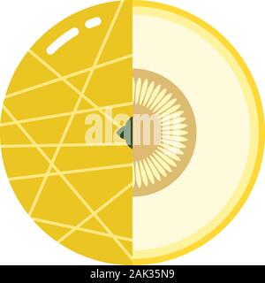 Il melone di sfera di frutta con mezza fettina di logo, piatto design icona del concetto di modello isolato su sfondo bianco Illustrazione Vettoriale