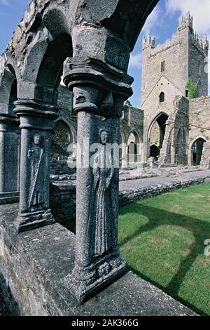 Muri singoli e rovine sono il solo relitti della medievale Abbazia Cistercense di Abbazia di Jerpoint vicino a Thomastown nella Contea di Kilkenny in Irlanda. (Und Foto Stock