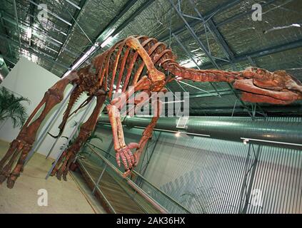 Vista di uno scheletro di dinosauro, una replica dello scheletro di Muttaburrasaurus nei Flinders Discoery Centro in Hughenden (Queensland), Australia. (Unda Foto Stock