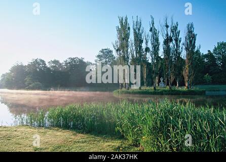 Vista dell'isola di Rousseau nel giardino Neumark nel Woerlitz parco vicino Woerlitz nello stato federale della Sassonia Anhalt in Germania. Il Woerlitz Pa Foto Stock