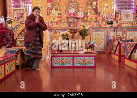 Una pia donna buddista, pregando e meditando sull'altare in un tempio nel Queens, a New York City. Foto Stock