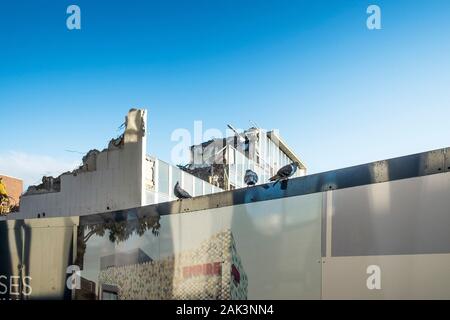 Piccioni si appollaia su cartelloni attorno al sito del vecchio edificio dell'Ufficio Postale di essere demolito come parte del tanto atteso riqualificazione di Basild Foto Stock