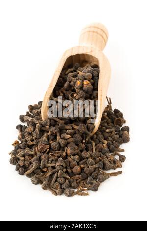 Cumulo di materie, essiccato cannella dei boccioli spice in scoop di legno su sfondo bianco Foto Stock
