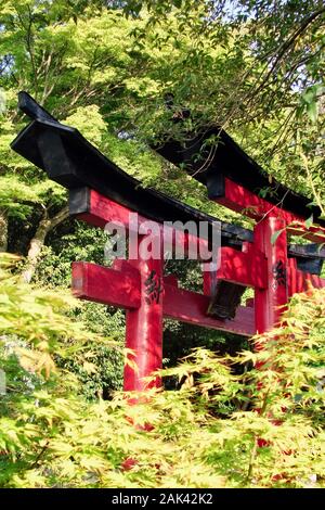 Red torii gates nascosto nel fogliame a Fushimi Inari santuario vicino a Kyoto, Giappone Foto Stock