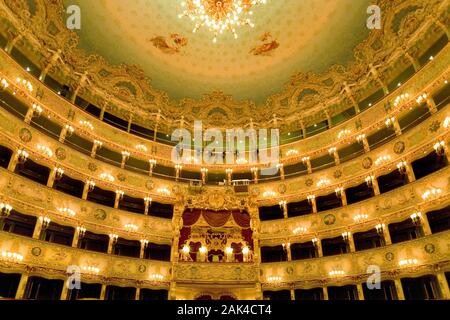 Innenansicht des Teatro La Fenice, Venedig | Utilizzo di tutto il mondo Foto Stock