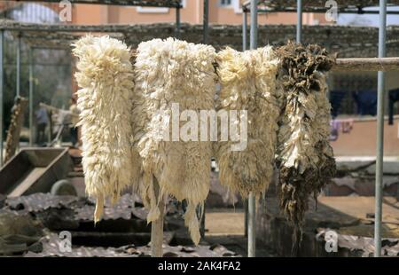 Marocco: Taroudant - Pelli di pecora appesi per asciugare | Utilizzo di tutto il mondo Foto Stock
