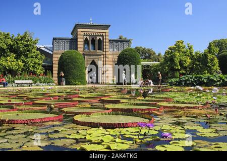 Seerosenteich Maurischen im Garten der Stuttgarter Wilhelma, Stoccarda/Schwäbische Alb | Utilizzo di tutto il mondo Foto Stock