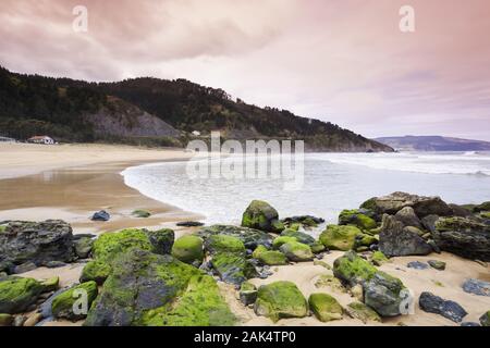 Playa de Laida neben der Flussmündung des Oka, Spanien Norden | Utilizzo di tutto il mondo Foto Stock