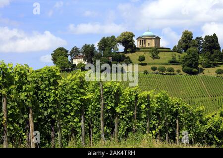 Stuttgart-Rotenberg: Blick über Weinreben auf die Grabkapelle auf dem Württemberg, Stoccarda/Schwäbische Alb | Utilizzo di tutto il mondo Foto Stock