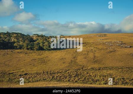 Pianura rurale chiamato pampa con bussole a secco che copre le colline vicino a Cambara do Sul. Una città con una naturale Attrazioni turistiche nel sud del Brasile. Foto Stock