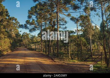 Strada sterrata passando da parte un altro percorso con fattoria e gli alberi al tramonto vicino Cambara do Sul. Una città con una naturale Attrazioni turistiche nel sud del Brasile. Foto Stock