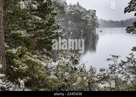 Nevicata sul Loch Garten nelle Highlands della Scozia. Foto Stock