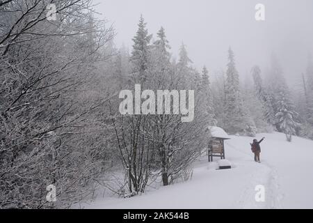 Giovane tenendo selfies durante un'escursione in una foresta di inverno Foto Stock