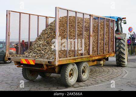 CANCALE, Francia -28 dic 2019- vista di un oyster carrello trattore nella citt di Cancale, situato sulla costa dell'Oceano Atlantico sulla Baie du Mont S Foto Stock