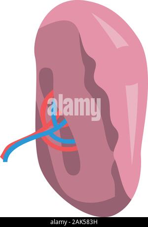 Organo di milza icona, stile isometrico Illustrazione Vettoriale