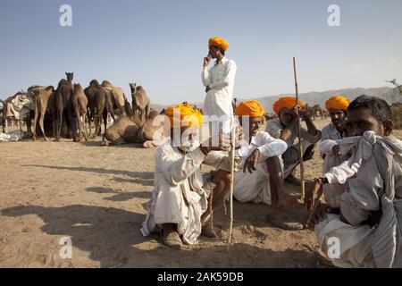 Bundesstaat Rajasthan: Pushkar, Kamelmarkt waehrend der Pushkar-Mela zum jaehrlichen Novembervollmond, Indien | Utilizzo di tutto il mondo Foto Stock