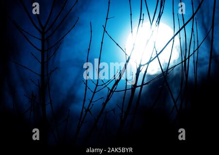spaventoso, fantastico, mistico, luminoso, luna notturna durante la luna piena sullo sfondo di ombre di erba e rami di albero Foto Stock
