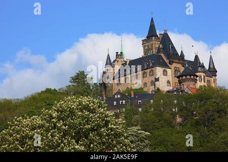 Wernigerode: Blick auf das Schloss, Harz | Utilizzo di tutto il mondo Foto Stock