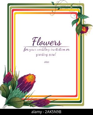 Tropical disegnati a mano cornice floreale. Il fogliame della giungla illustrazione. Bordo floreale. Disegno a mano. Estate esotici stampa. Molla naturale scheda di nozze. Estate t Illustrazione Vettoriale