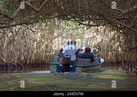 Messico,Nayarit, San Blas, La Tovara National Park, barca con i turisti ad esplorare e birdwatching in una mangrovia Foto Stock