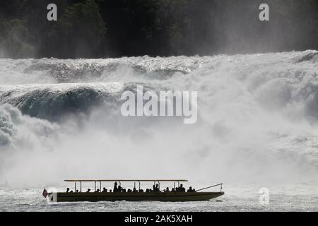 Sciaffusa: Touristenboot am Rheinfall, Bodensee | Utilizzo di tutto il mondo Foto Stock