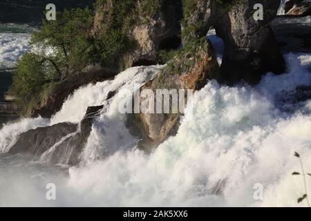 Sciaffusa: Rheinfall, Bodensee | Utilizzo di tutto il mondo Foto Stock