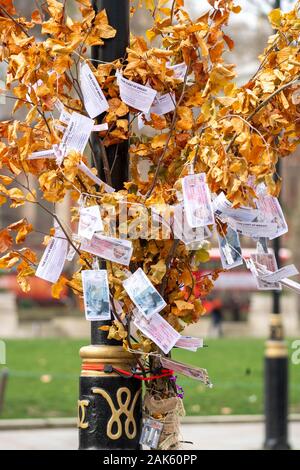 Londra REGNO UNITO 7 gennaio. 2020 Pro e anti brexit manifestanti fuori le case del Parlamento un 'magic money tree' condizionati da anti brexit sostenitori Credit Ian DavidsonAlamy Live News Foto Stock