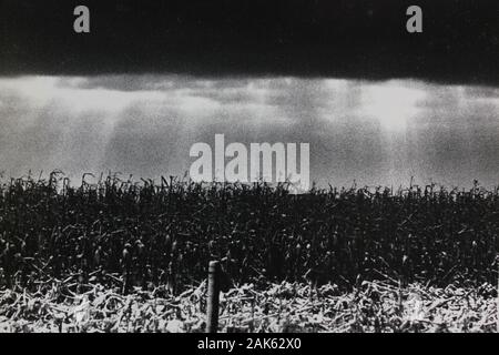 Fine anni '70 minimalismo nero e bianco fotografia vintage di un campo vuoto Foto Stock