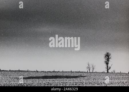 Fine anni '70 minimalismo nero e bianco fotografia vintage di un campo vuoto Foto Stock